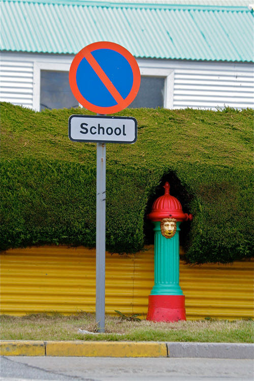 Falkland Islands, hedge trimming at it's best